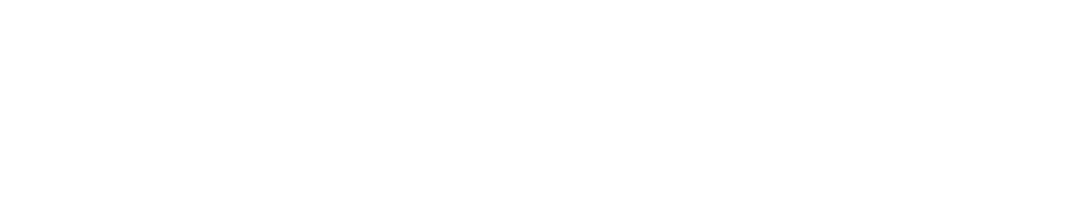 BGP-Logo